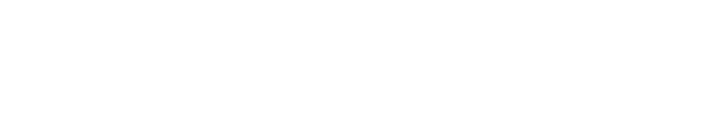 Design Maximus